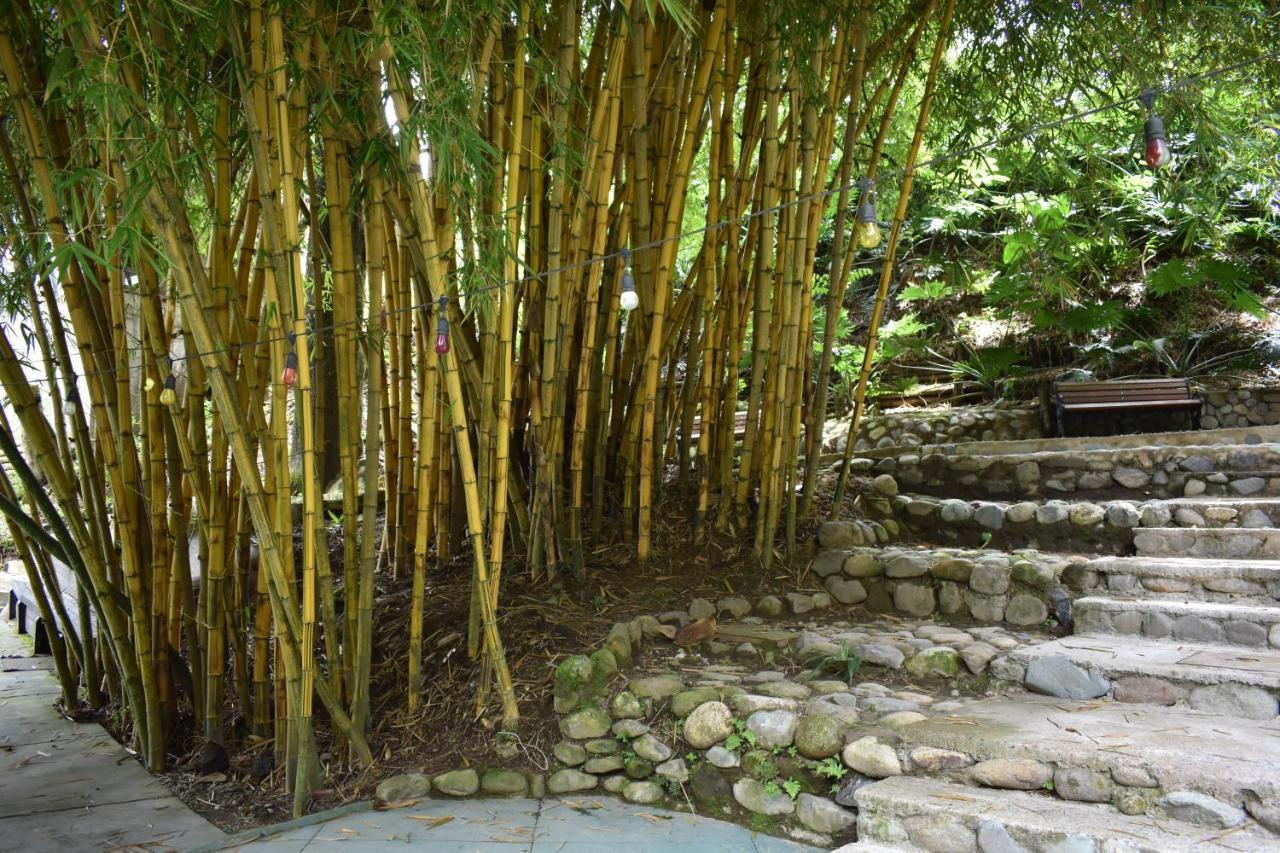 Bambu 3* Salento