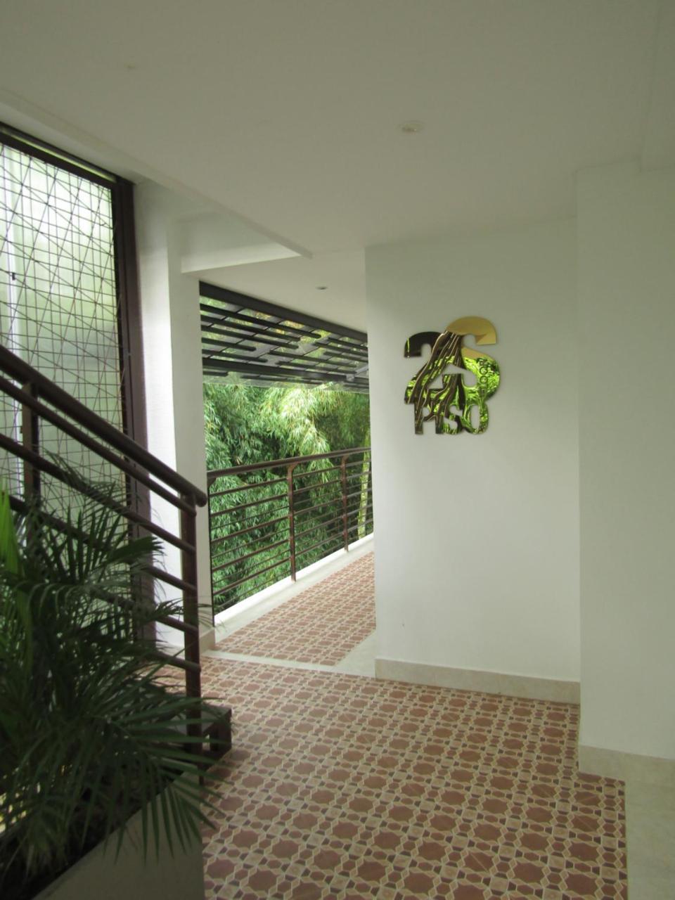 Bambu 3*