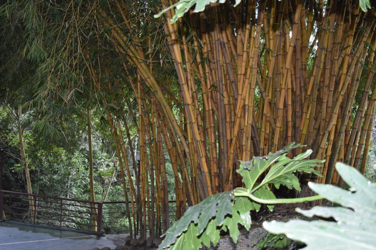 Hotel Bambu 3*