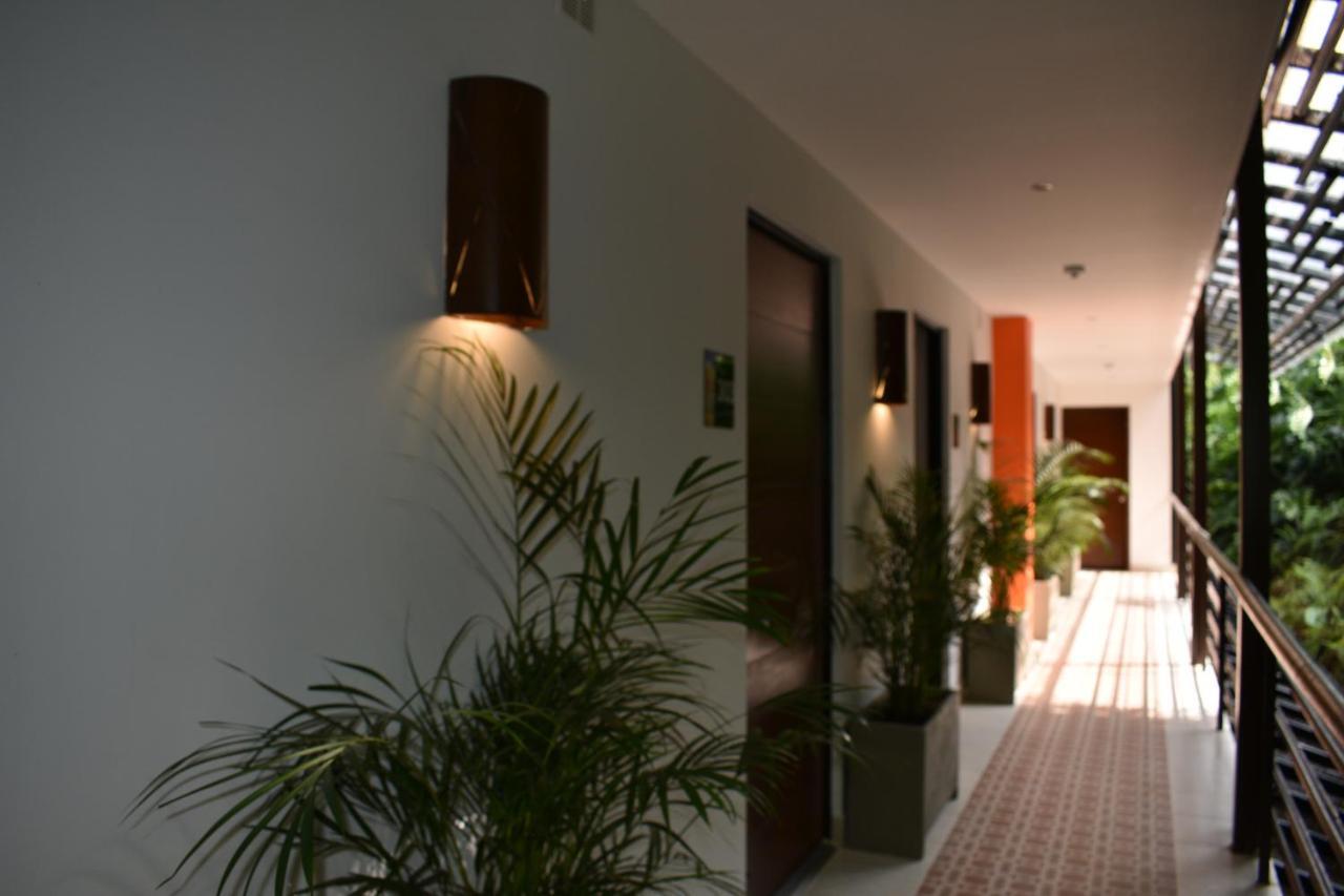 Bambu 3*